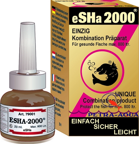 Esha Esha 2000